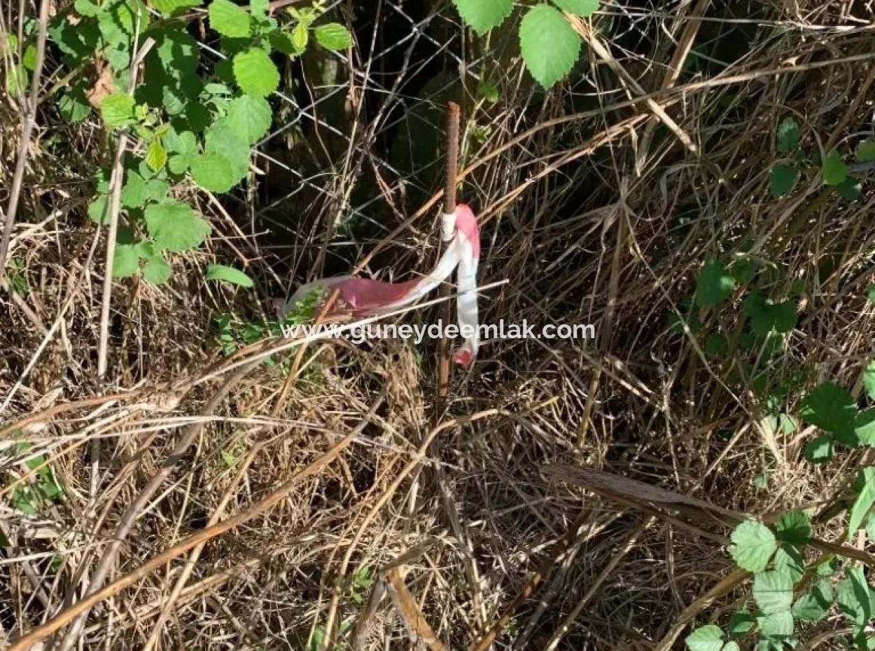 Mergenli De Satılık İmarlı Arsa