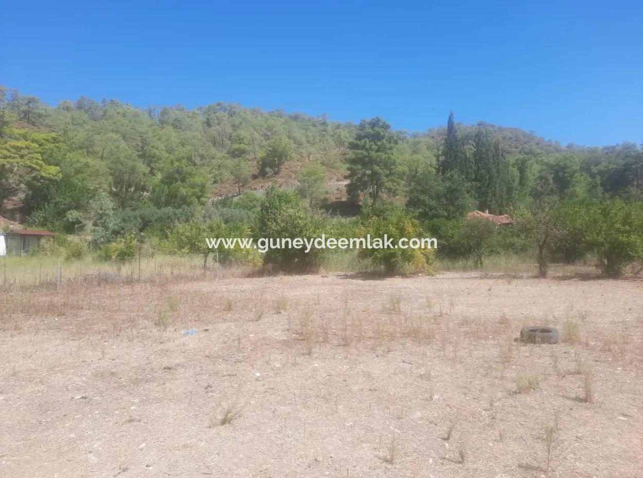 Mugla Ortaca Çaylıda 600 M2 Konut İmarlı Kelepir Arsa Satılık