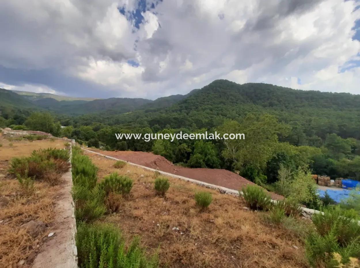 Muğla Köyceğiz Ağla, Yaylada 1 758 M2, İmarlı Arsa Satılık