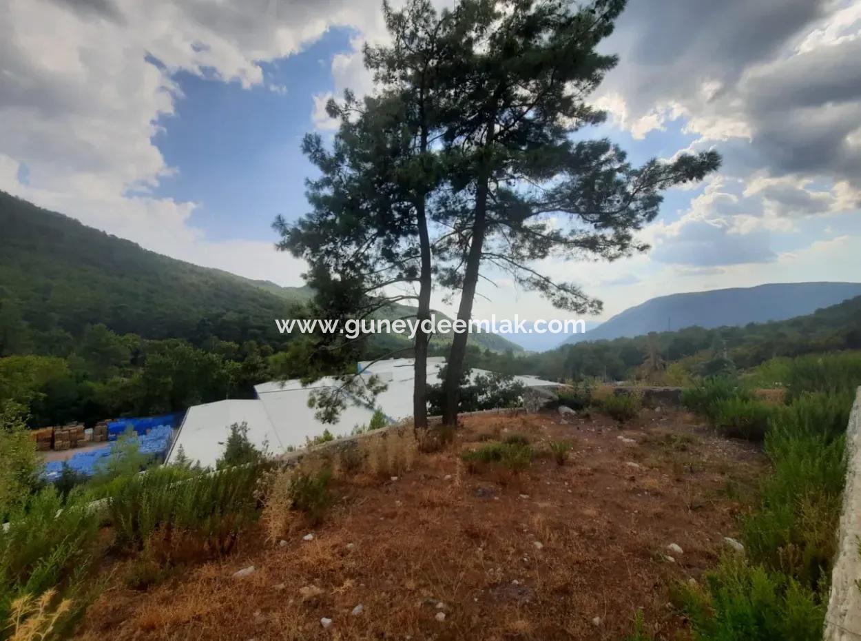 Muğla Köyceğiz Ağla, Yaylada 1 758 M2, İmarlı Arsa Satılık