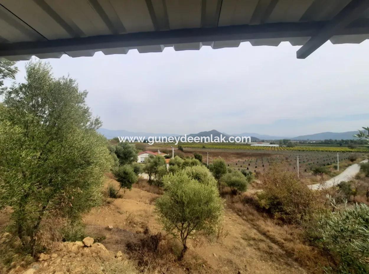 Eskiköyde 2 500 M2 Hazine Arazisi Zilliyet Hakkı Devir Edilecek Veya  Araç Takas Olur