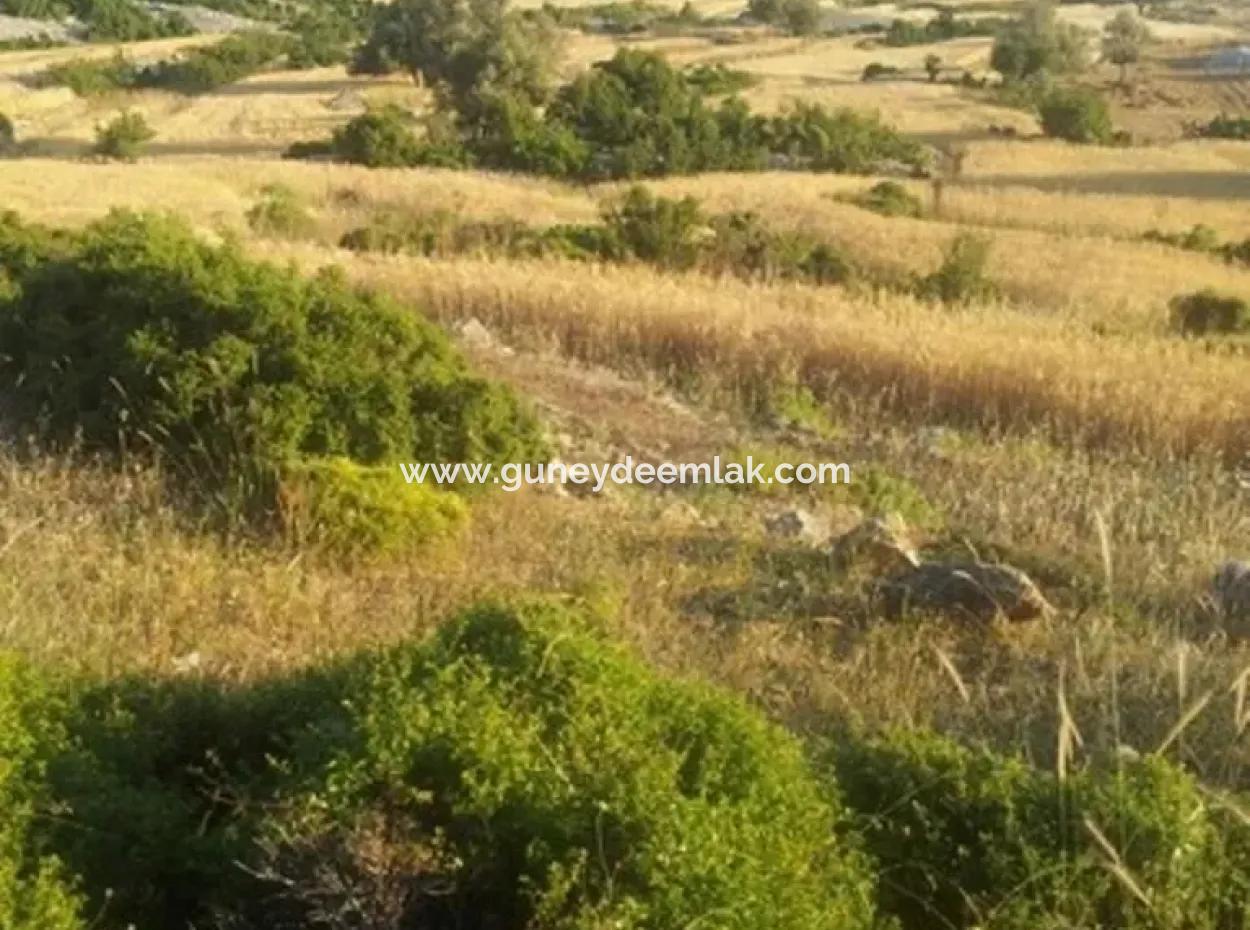 Seydikemer Boğaziçinde Satılık Deniz Manzaralı Arazi