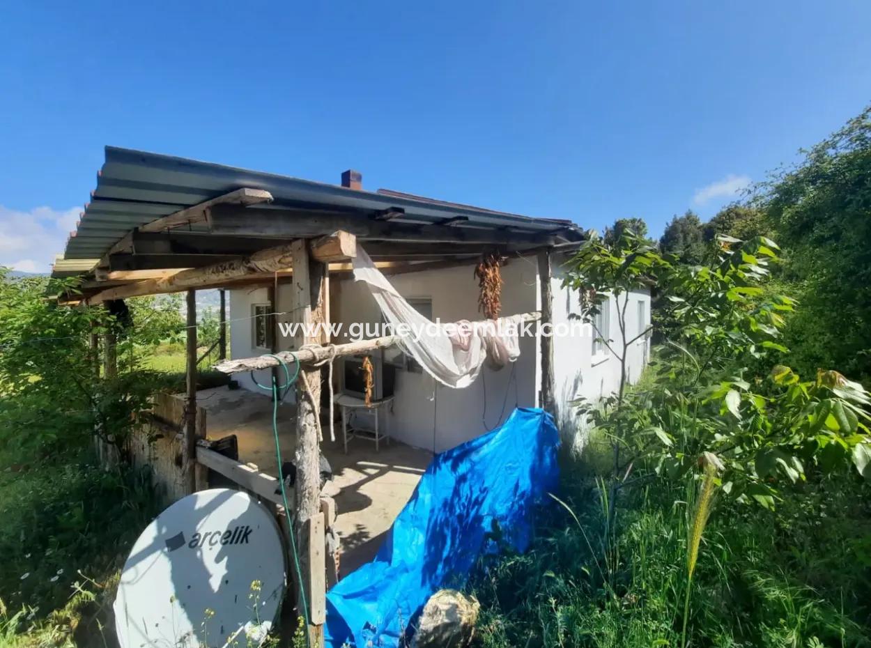 Çameli Kızılyaka Da 5 000 M2 Arazide 2+1 Müstakil Ev, Ve Ahır Kiralık