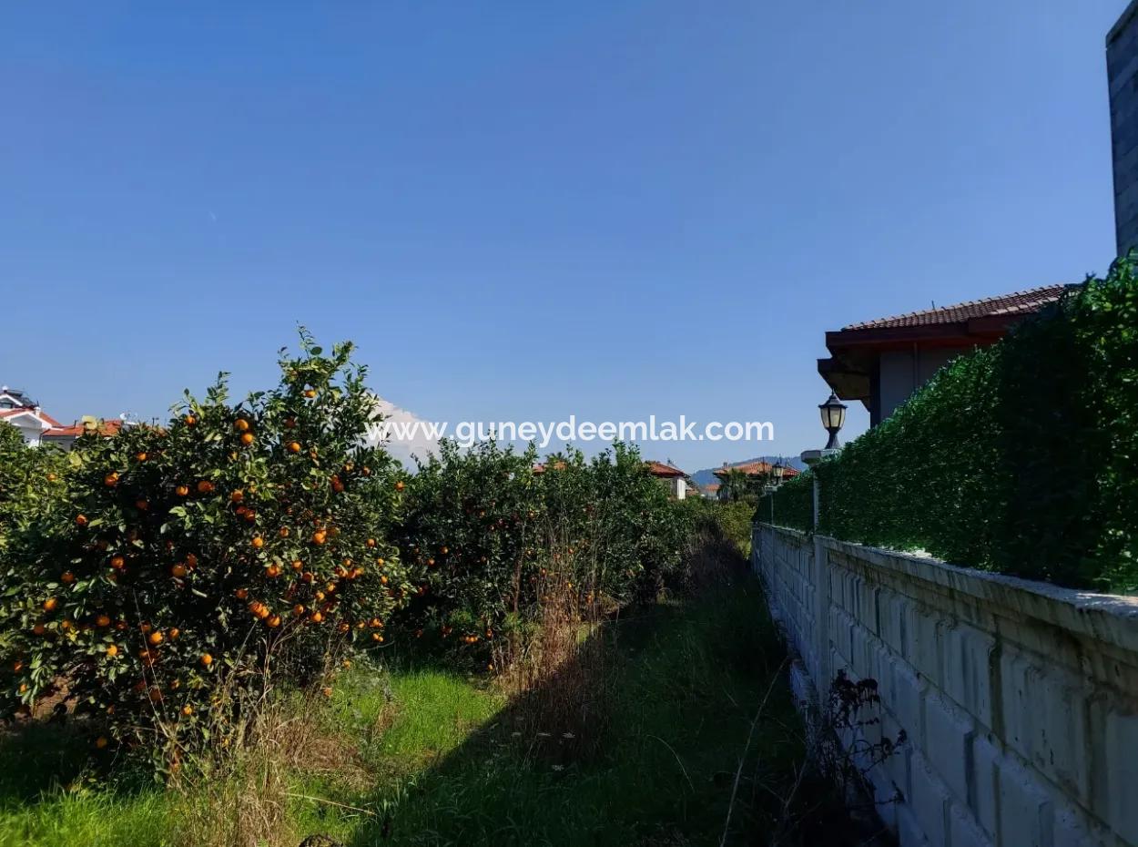 Muğla Dalyan Da Satılık 722 M2 İmarlı Müstakil Arsa