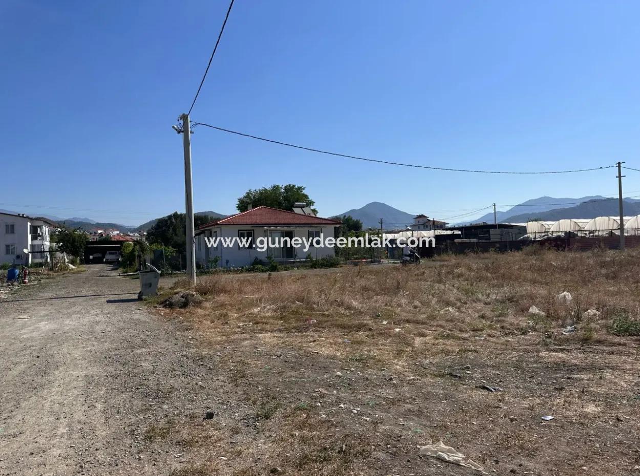 Ortaca Karaburunda 515 M2 Köşe İmarlı Arsa Acil Satılık Veya Takas
