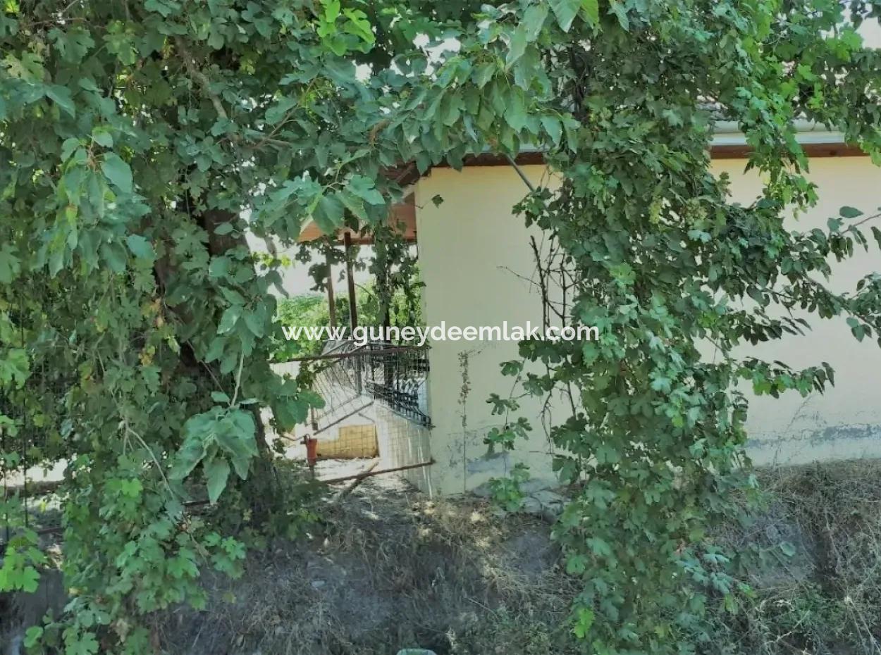 Tepearasında Satılık Kelepir Portakal Bahçesi