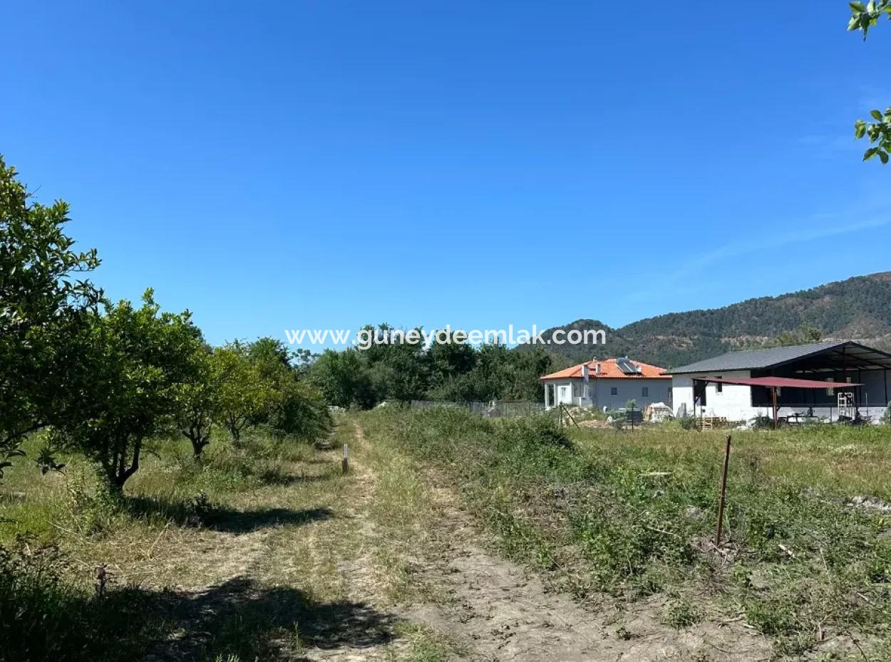 Okçular Da Satılık 500 M2