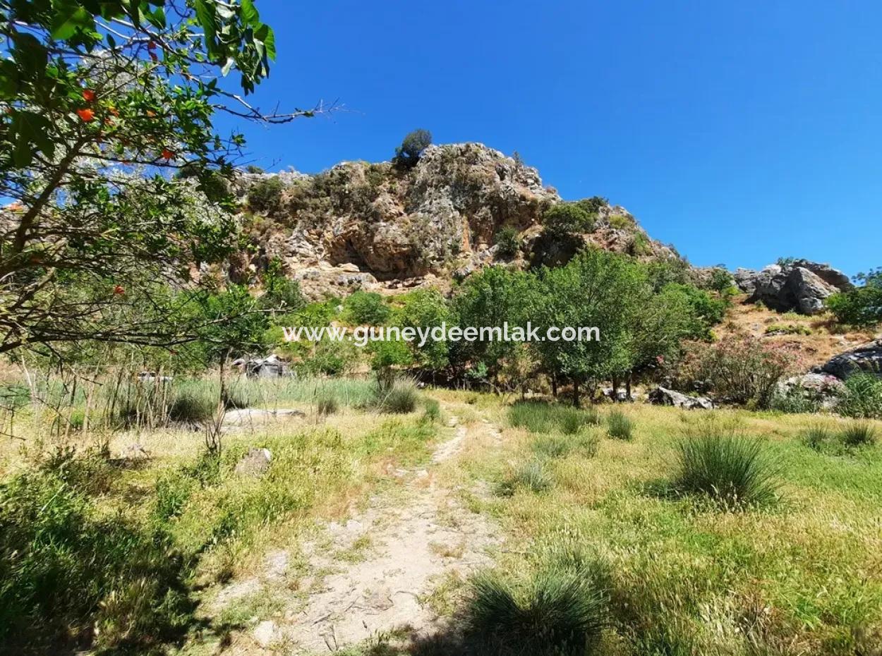 Muğla Ortaca Dalyanda Kanala Sıfır 6 500 M2 Hisseli Tapulu Arazi Satılık