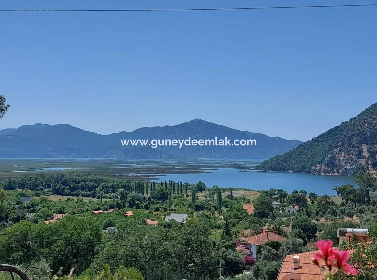 Köyceğiz Çandırda  Müstakil Tapulu 33.800 M2 Tarla Satılık