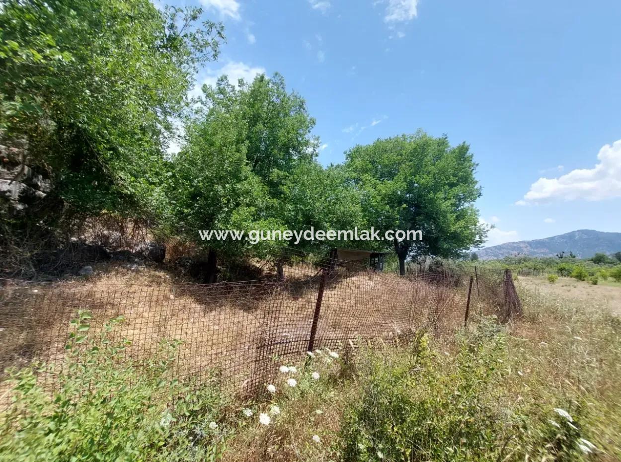 Köyceğiz Çandırda  Müstakil Tapulu 33.800 M2 Tarla Satılık