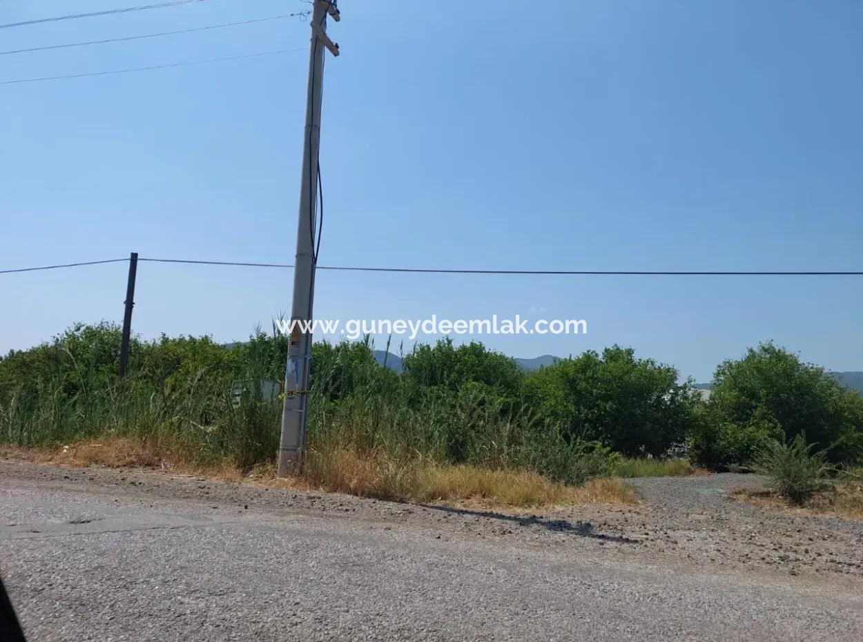 Muğla Ortaca Ekşiliyurtta Yola Sıfır 7. 000 M2 Limon Bahçesi Satılık