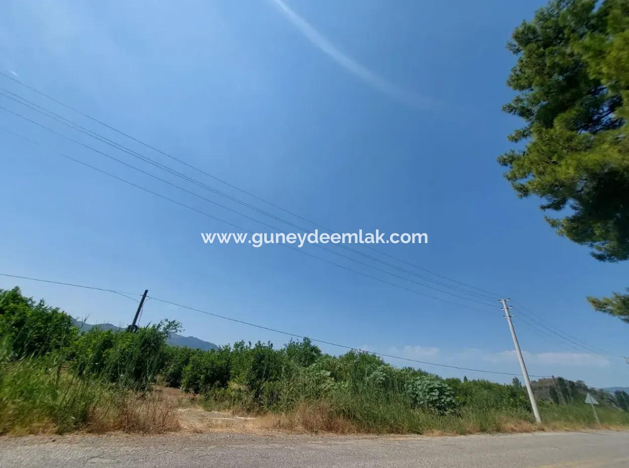 Muğla Ortaca Ekşiliyurtta Yola Sıfır 7. 000 M2 Limon Bahçesi Satılık