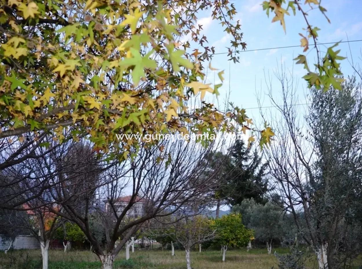 Zeytinalanında Satılık Göl Manzaralı Müstakil Dubleks