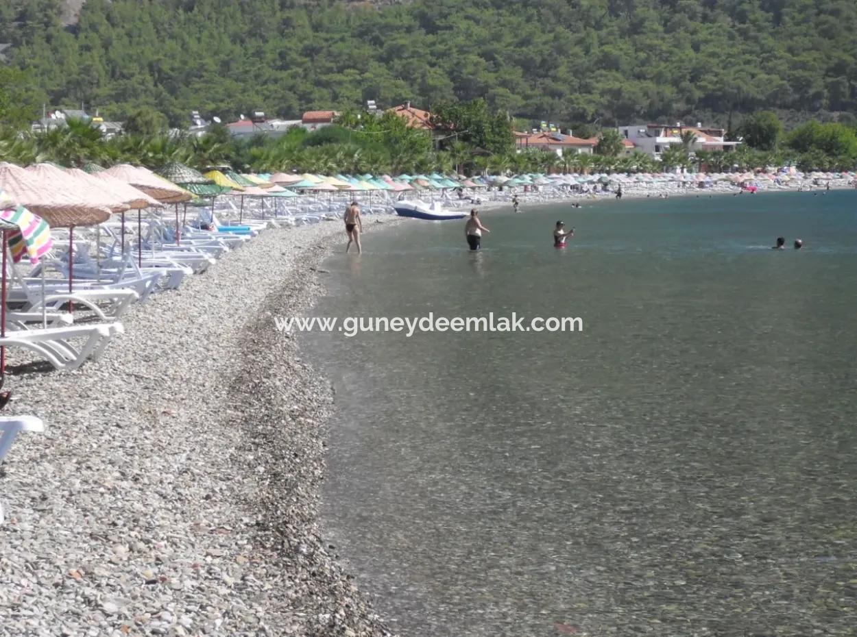 Milas Örende Deniz 100 Metre Mesafede 4 500M2 Konut İmarlı Arsa Satılık