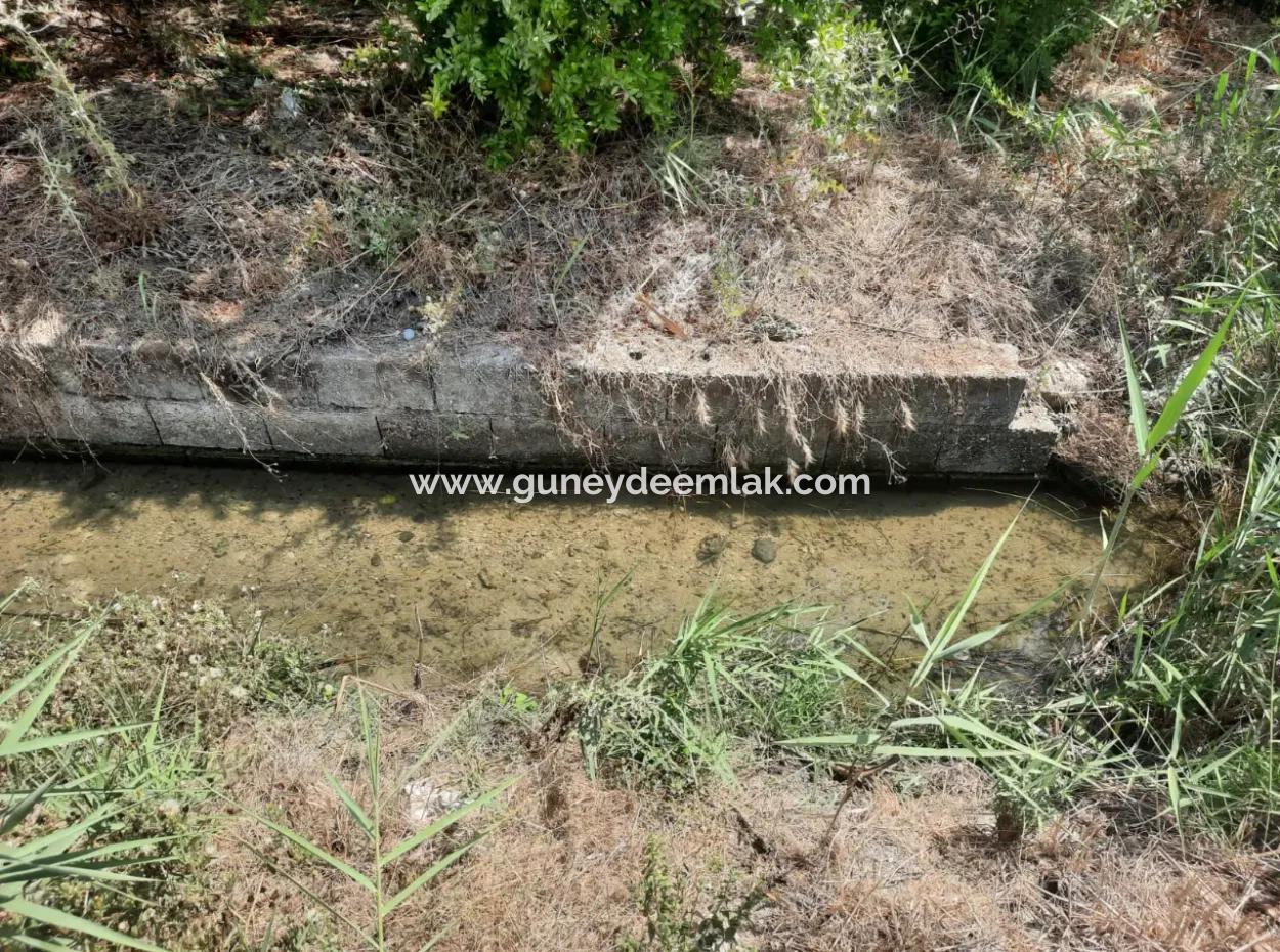 Muğla Dalyanda Dağ Sıfır, Su Kenarı 10 500 M2 Nar Bahçesi Satılık