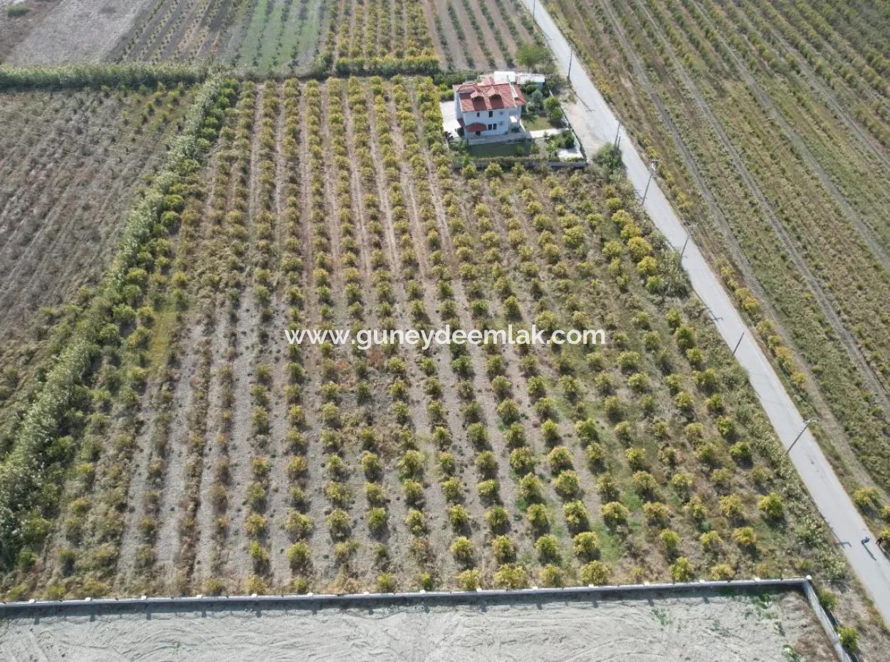 Muğla Dalyanda Kanala 2,Ci Parsel Müstakil 5.000 M2, 250 M2 İnşaat Hakkı Olan Arazi Satılık