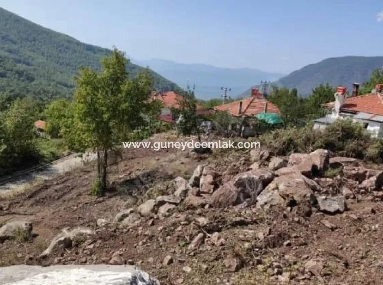 Muğla Köyceğiz Yayla Mah 560 M2 Arsa Satılık