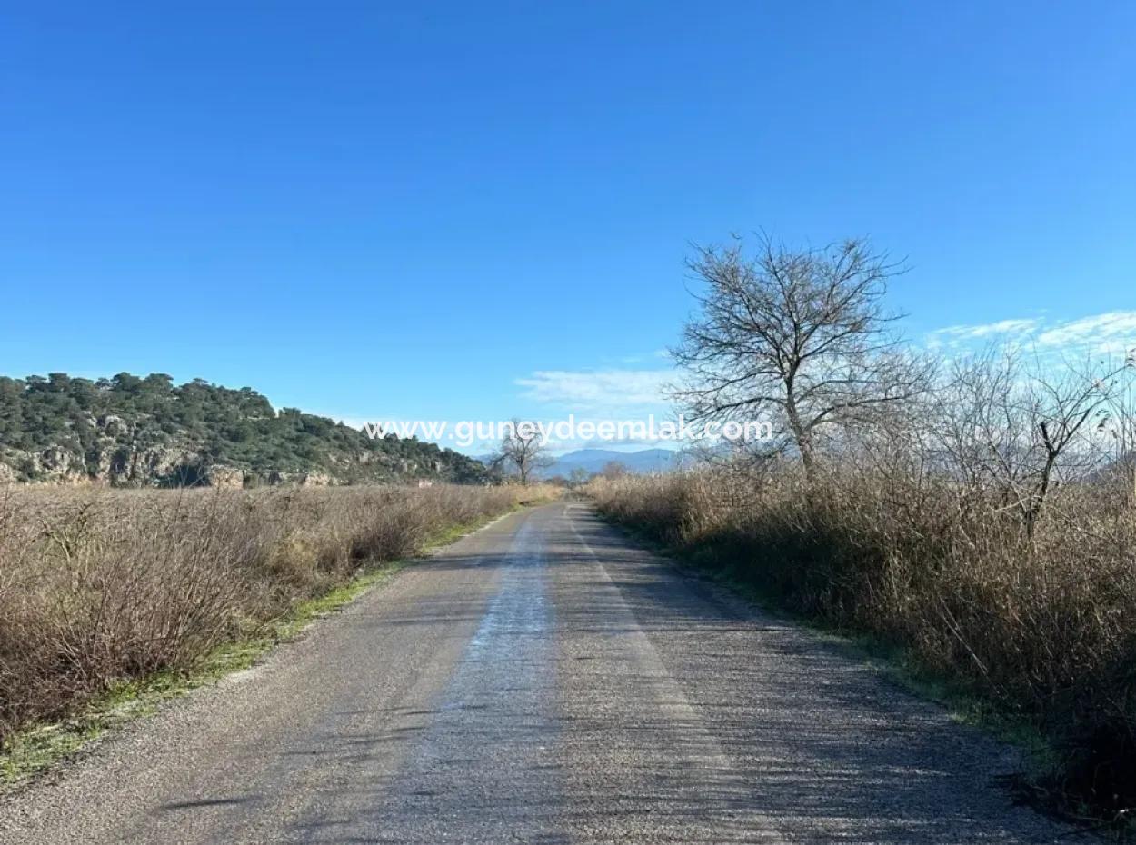 Ortaca Güzelyurtda Kooperatife Uygun Tarlalar Satılık