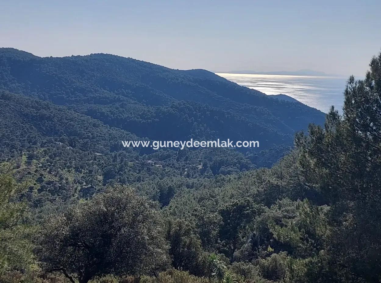 Ortaca Gökbelde Müstakil Tapulu Deniz Manzaralı 28.350 M2 Arazi Satılık