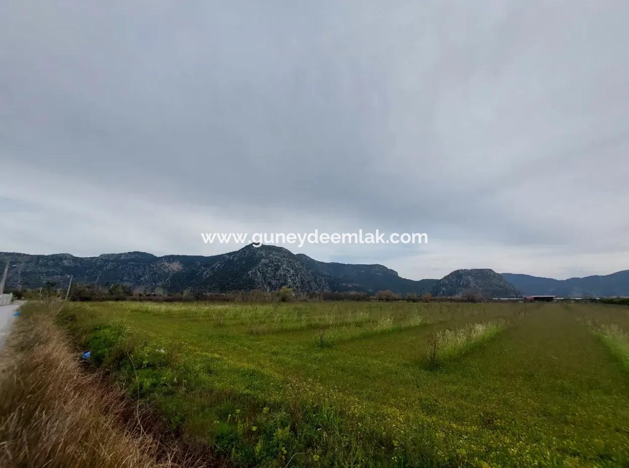 Muğla Dalyan'da 5 000 M2, 250 M2 İnşaat İzinli, Dalyan Kanalına Yakın Arazi  Satılık