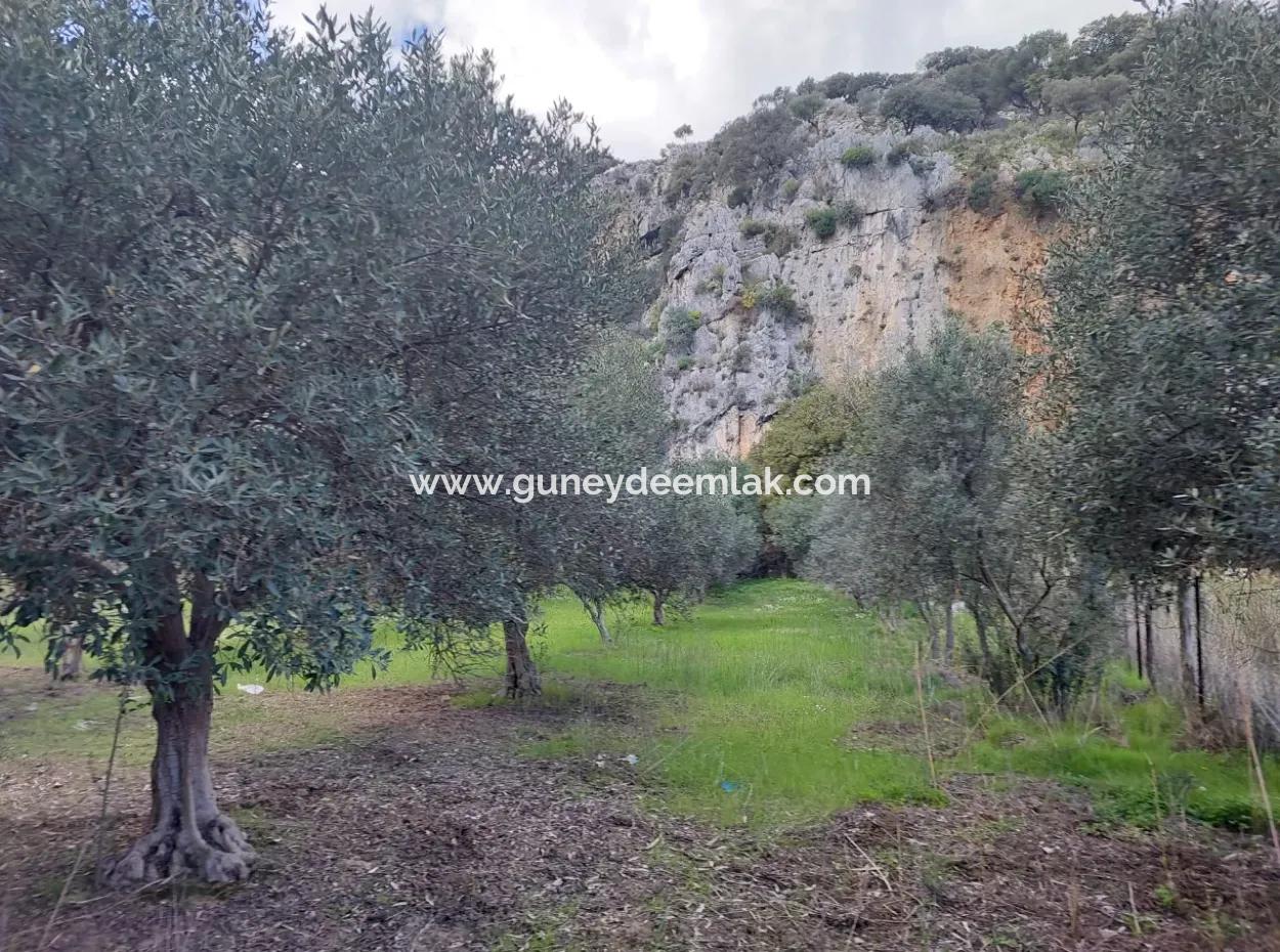 Muğla Köyceğiz Çandırda Dalyan Kanalına Yakın 3.750 M2 Satılık Arazi