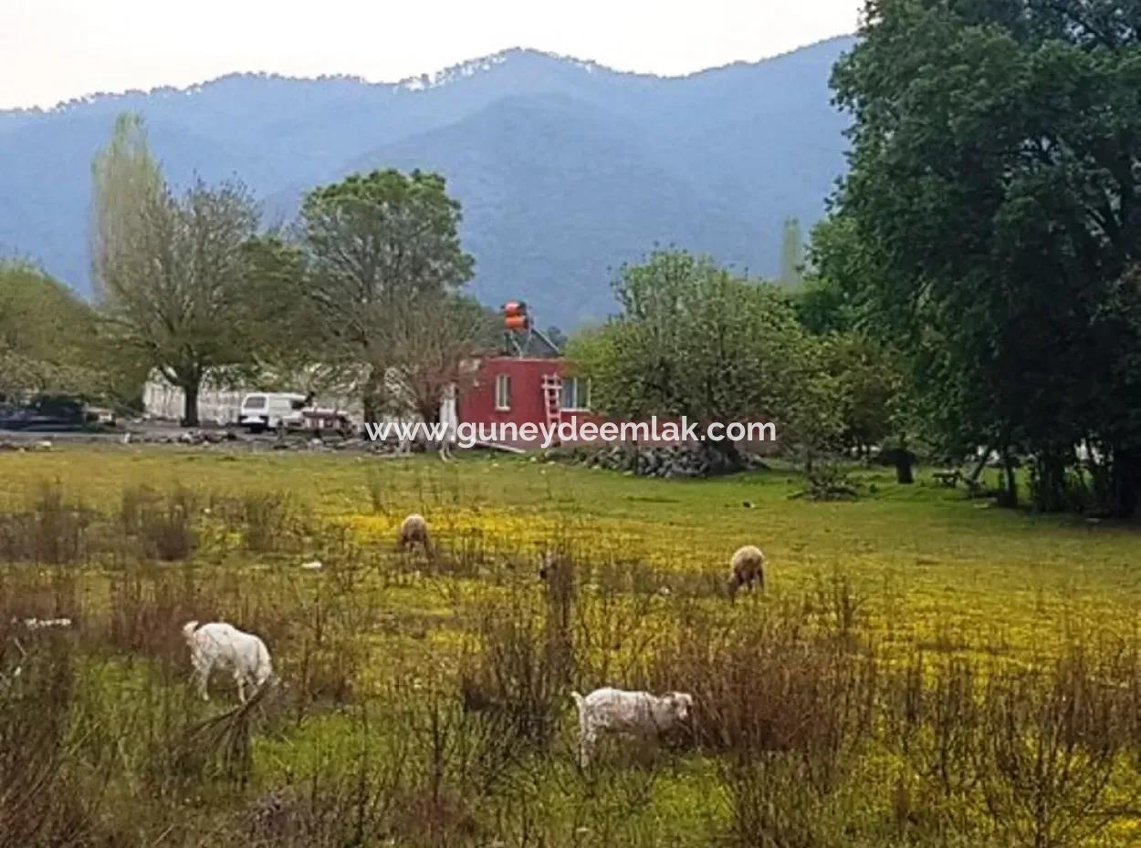 Muğla Ortaca Okçularda Dalyan Anayoluna Sıfır Yatırıma Uygun 3 577 M2 Arazi Satılık