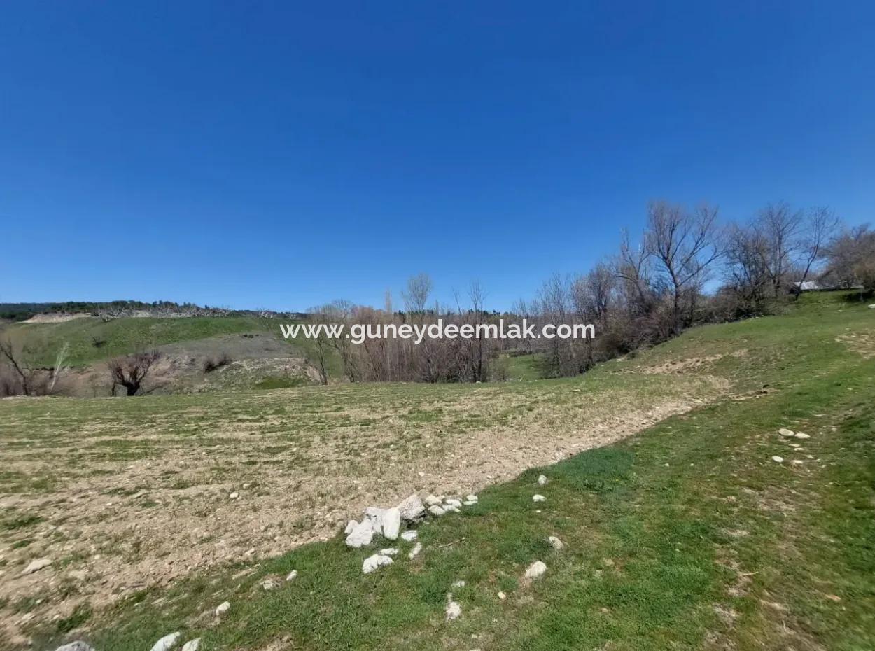 Çameli Cevizlide 650 M2 İmarlı Arsalar Satılık