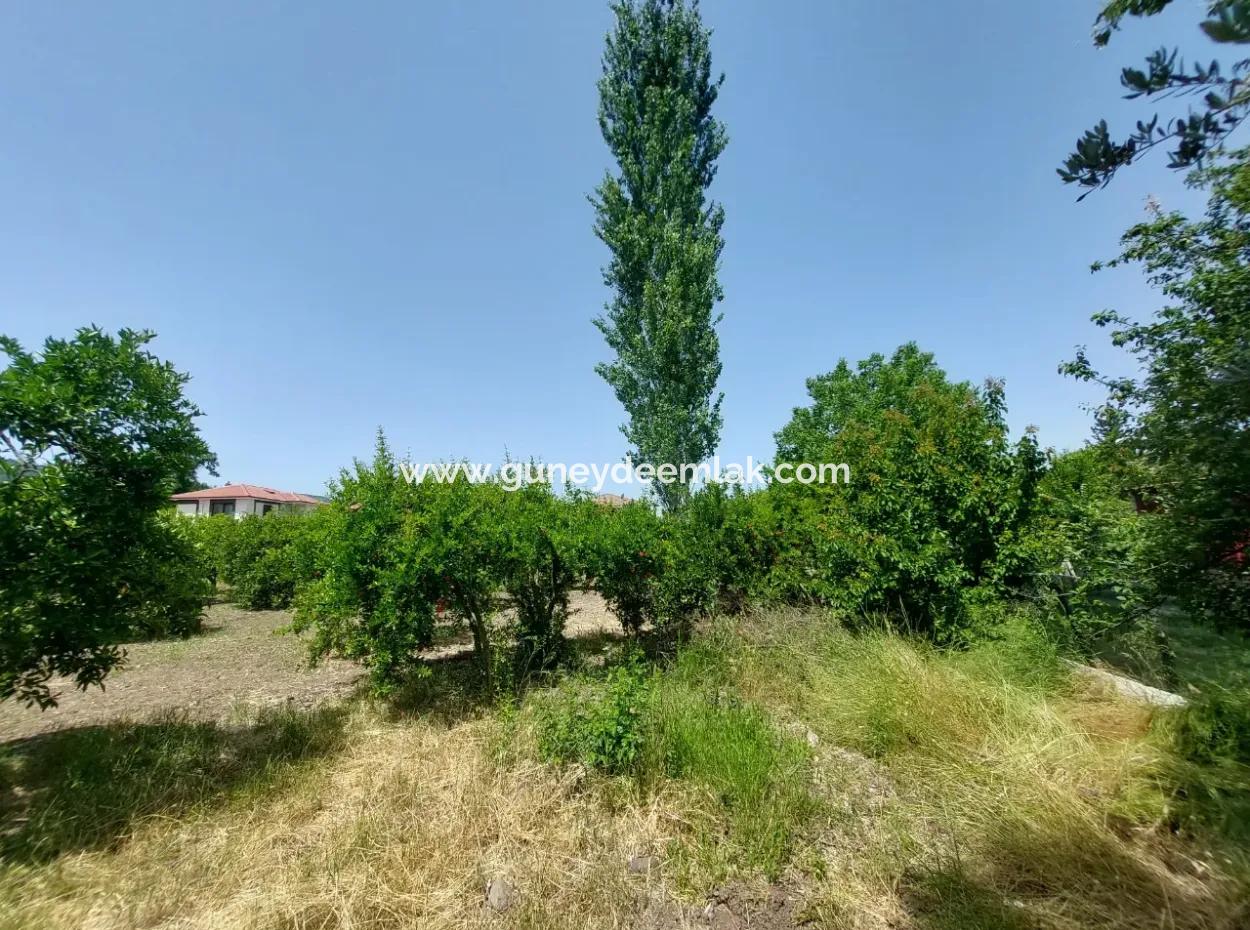 Ortaca Kemaliyede  Rızai Taksimli 500 M2 Arazi Acil Satılık