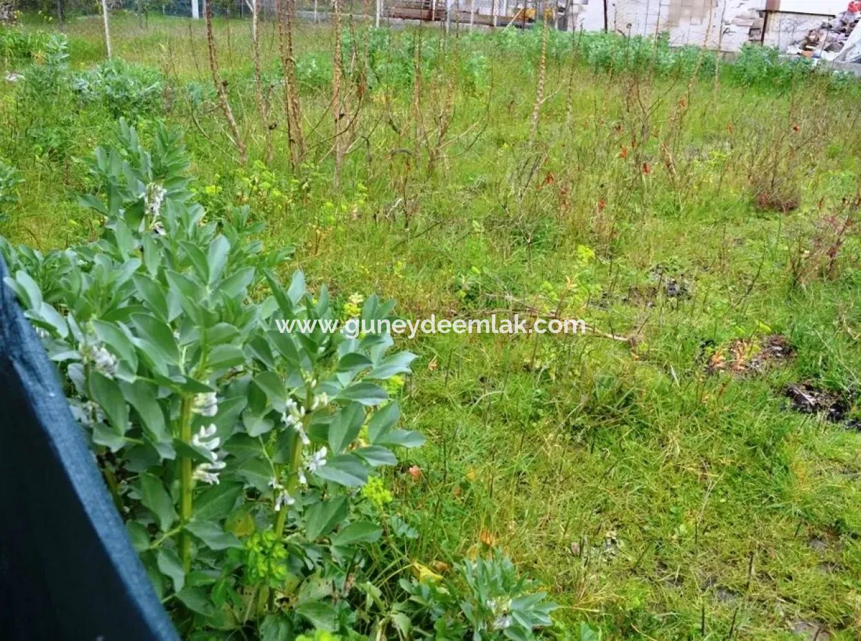 Güzelyurt Ta Satılık Müstakil Köy Evi