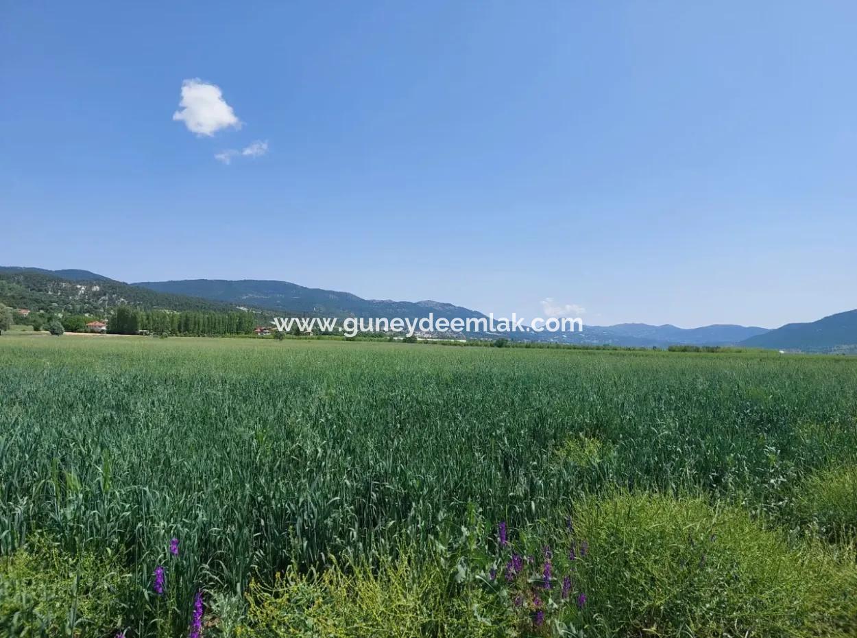 Çameli Bıçakçı’da Satılık Kelepir Arazi – 5.333 M² Müstakil Tapulu