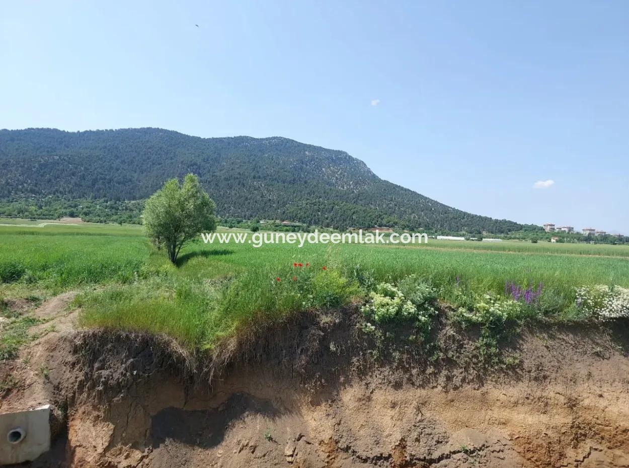 Çameli Bıçakçı’da Satılık Kelepir Arazi – 5.333 M² Müstakil Tapulu