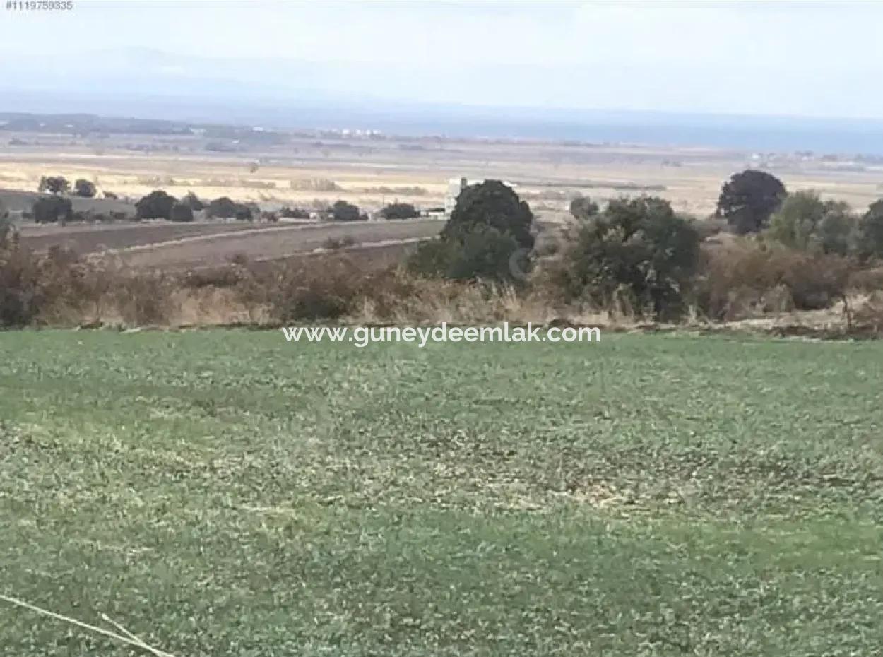 Çanakkale  Biga Koruobada Deniz Manzaralı Kelepir  9 715 M2 Müstakil Tapulu Verimli Arazi Satılık