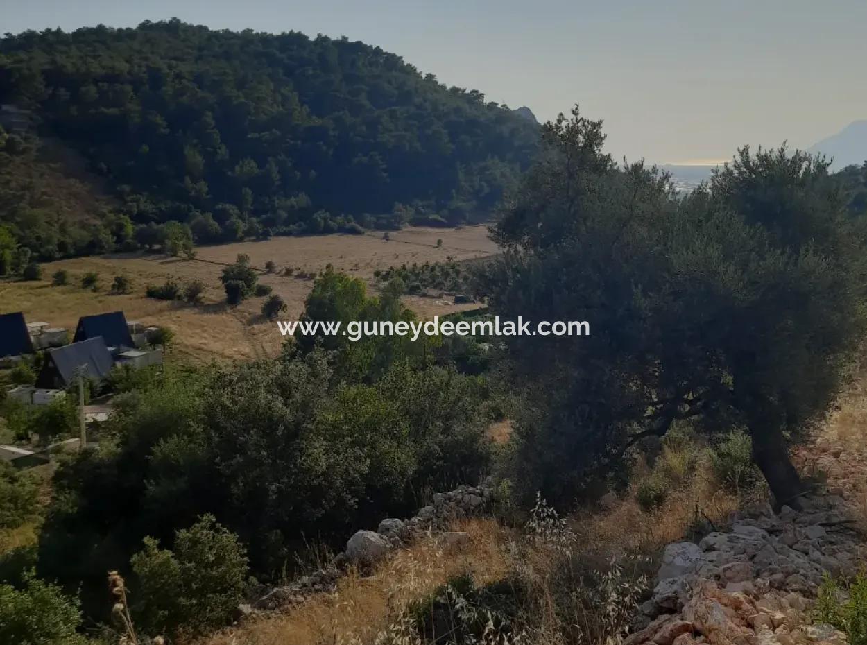 Antalya Kaş Kalkan İslamlarda Satılık 12 300 M2 Yatırıma Uygun Arazi