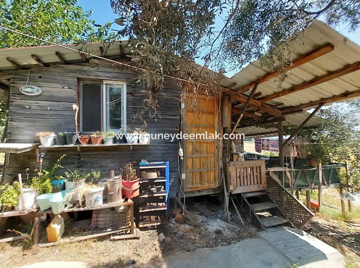 Ortaca Eskiköyde 2.500M2 Hazine Arazisinde Numaratajı Olan Bina İle Devren Satılık