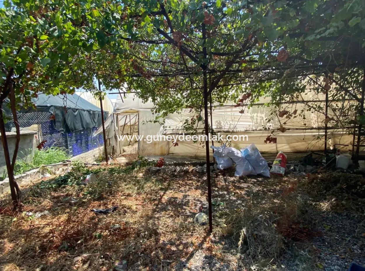 Ortaca Eskiköy De 5200 M2 Tarla İçinde Müstakil Ev Ve Sera Satılık