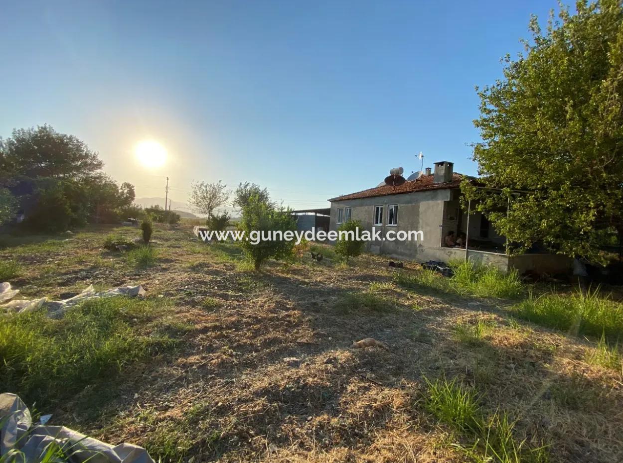 Ortaca Eskiköy De 5200 M2 Tarla İçinde Müstakil Ev Ve Sera Satılık