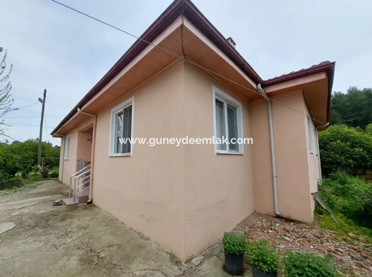 Muğla Köyceğiz Kavakarasında 6.650 M² Verimli Arazide Köy Evi Ve Çiftlik Satılık