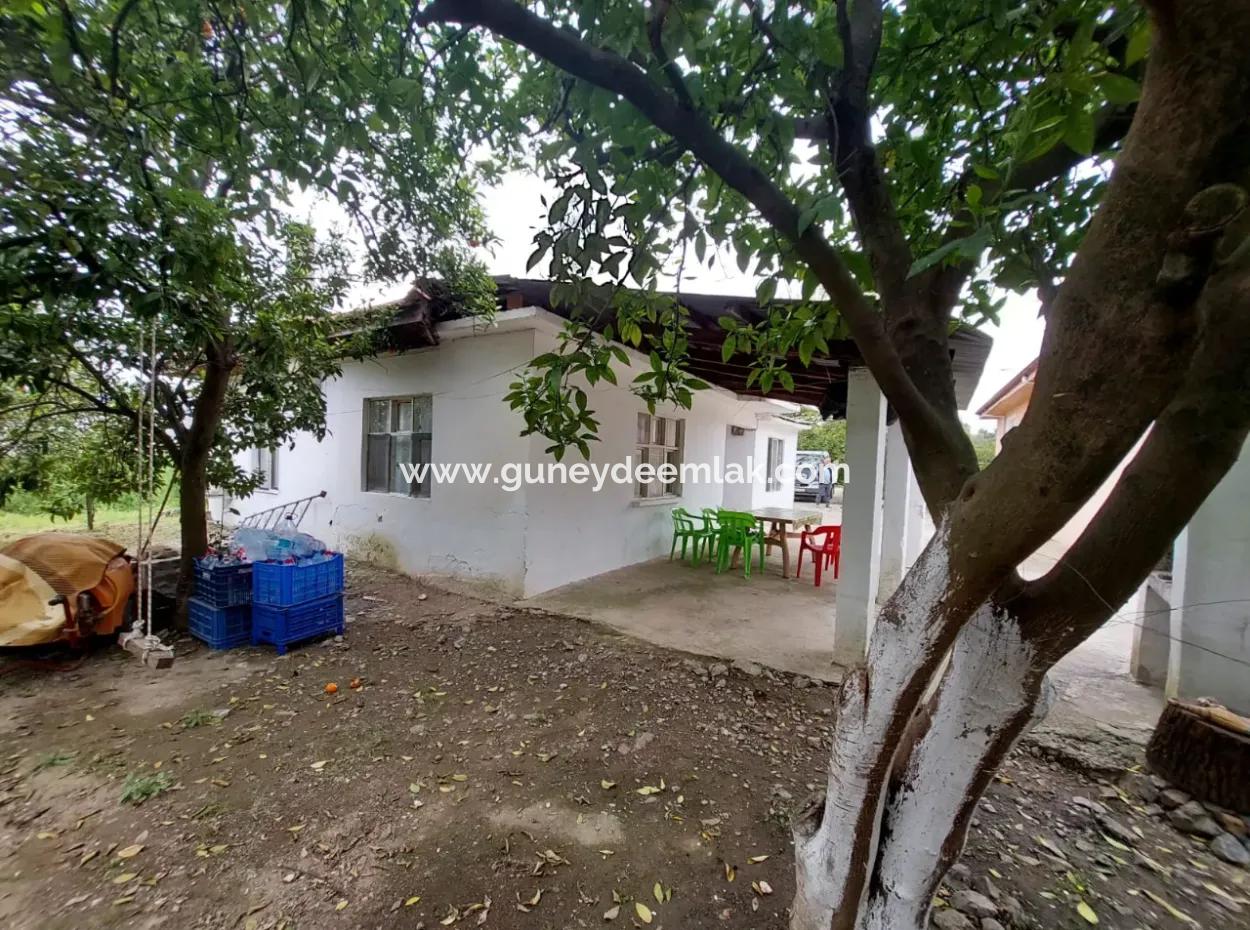 Muğla Köyceğiz Kavakarasında 6.650 M² Verimli Arazide Köy Evi Ve Çiftlik Satılık