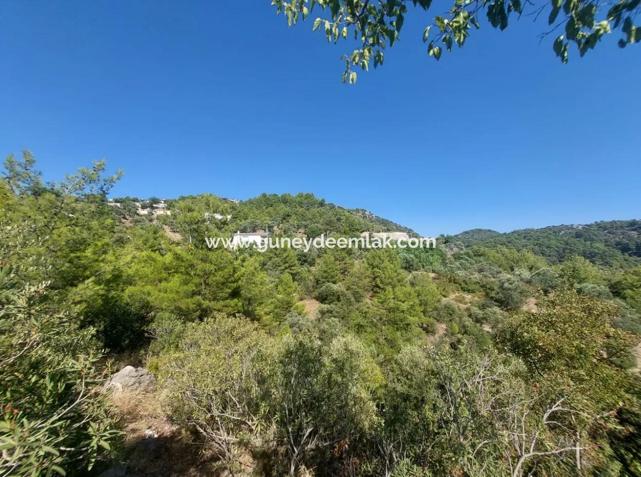 Muğla Ortaca Gökbel’de Satılık Müstakil Tapulu  238 M2 Hobi Bahçesi