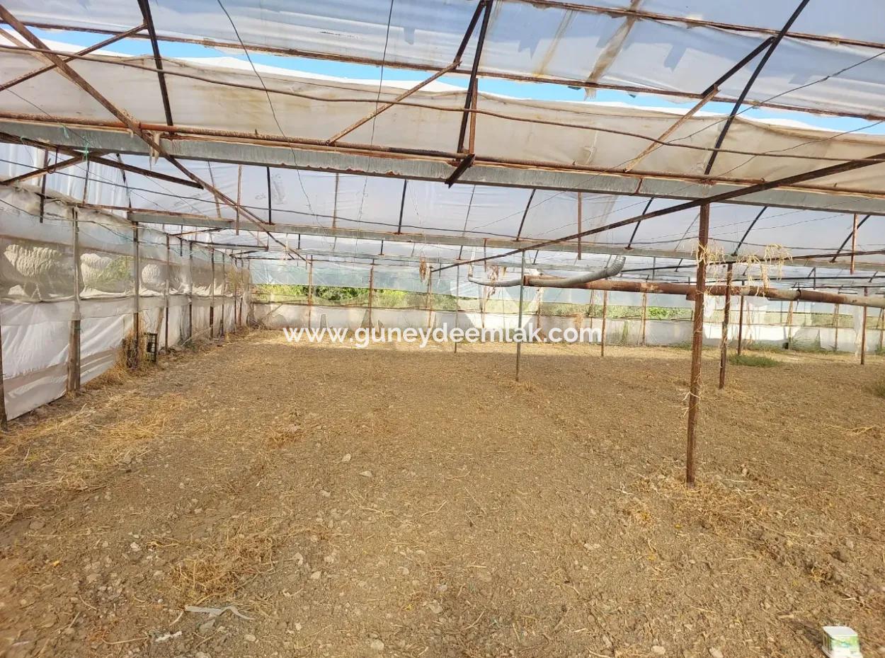 Ortaca Eskiköy’de 5.850 M² Göl Manzaralı Arazi Ve Köy Evi Satılık