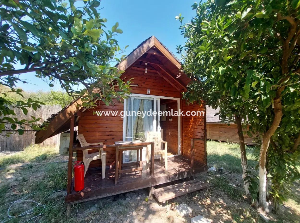 Dalyan’da Satılık 6 Adet Eşyalı & Klimalı Tiny House Bungalov – Yatırım Fırsatı