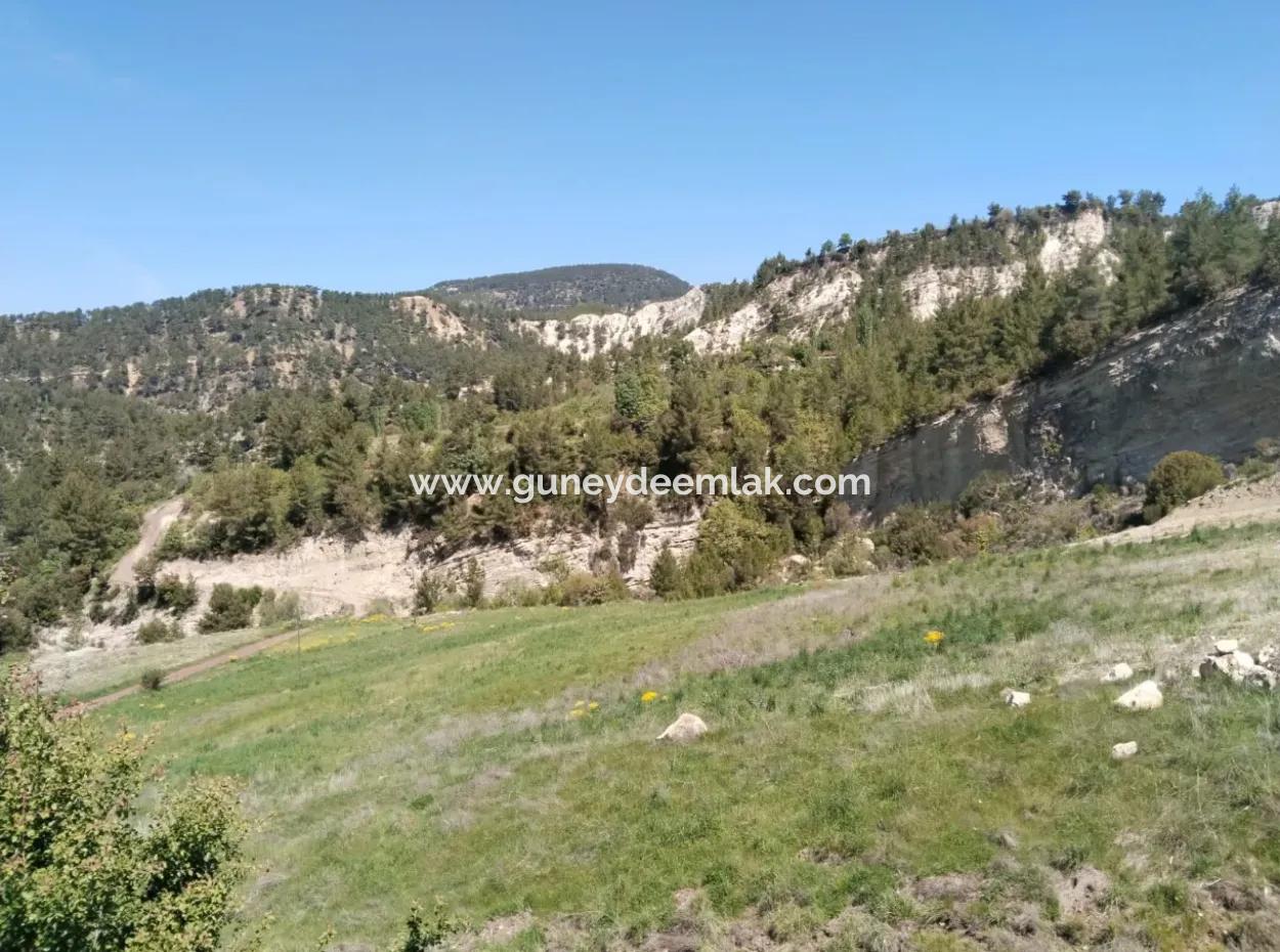 Çameli Kolakta Kelepir 20 000 M2 Müstakil Tapulu Arazi Satılık Veya Takas Olur.