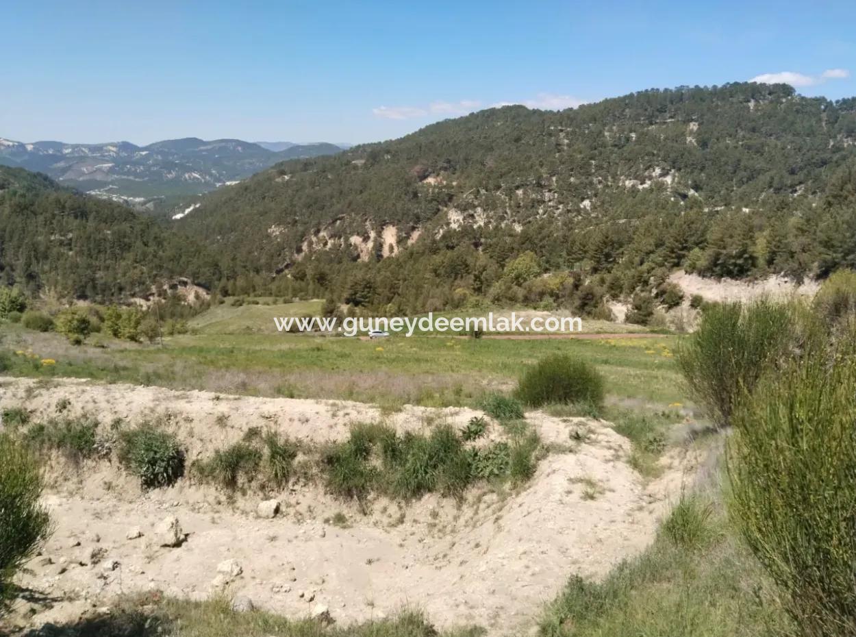 Çameli Kolakta Kelepir 20 000 M2 Müstakil Tapulu Arazi Satılık Veya Takas Olur.