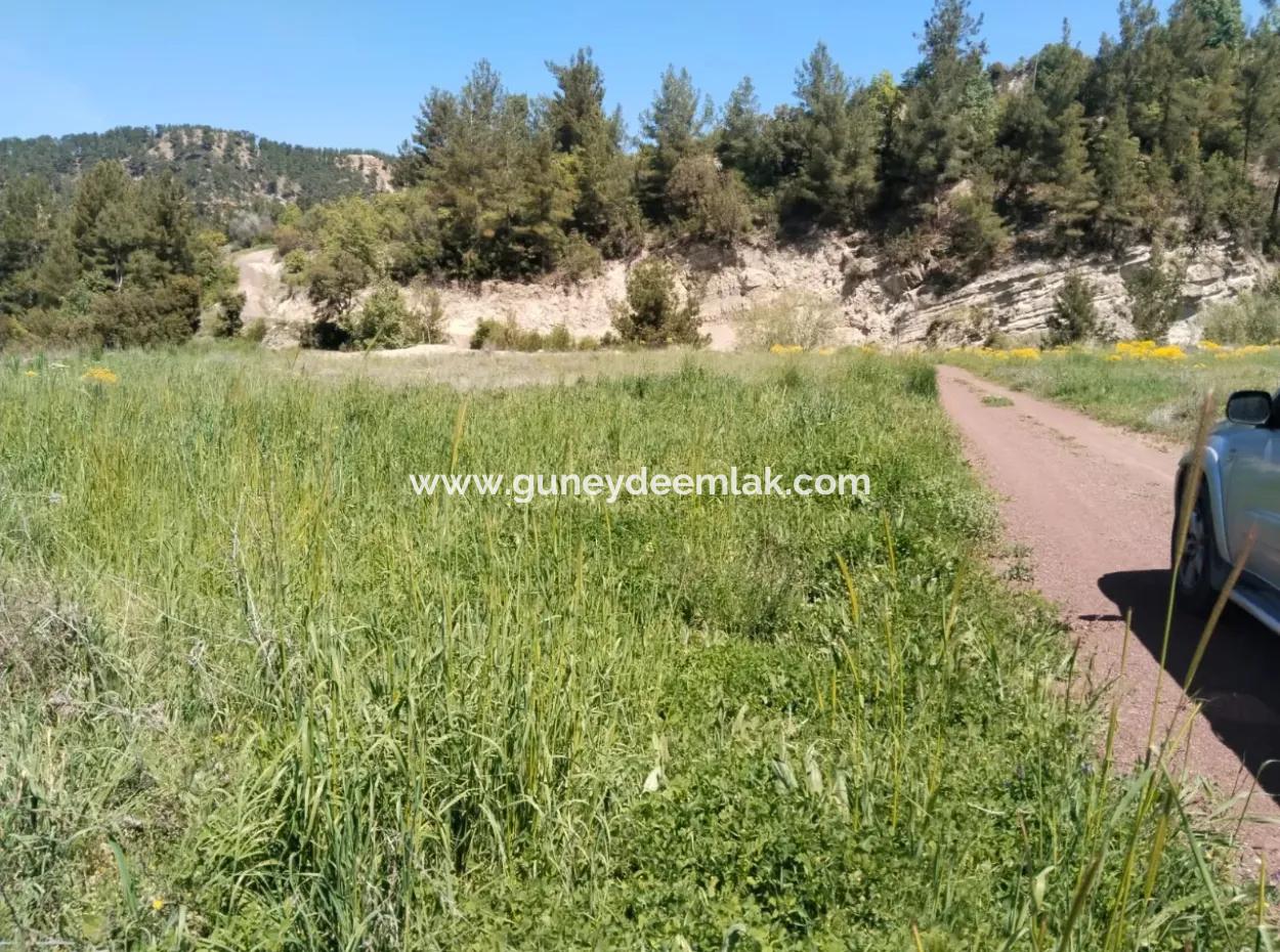 Çameli Kolakta Kelepir 20 000 M2 Müstakil Tapulu Arazi Satılık Veya Takas Olur.