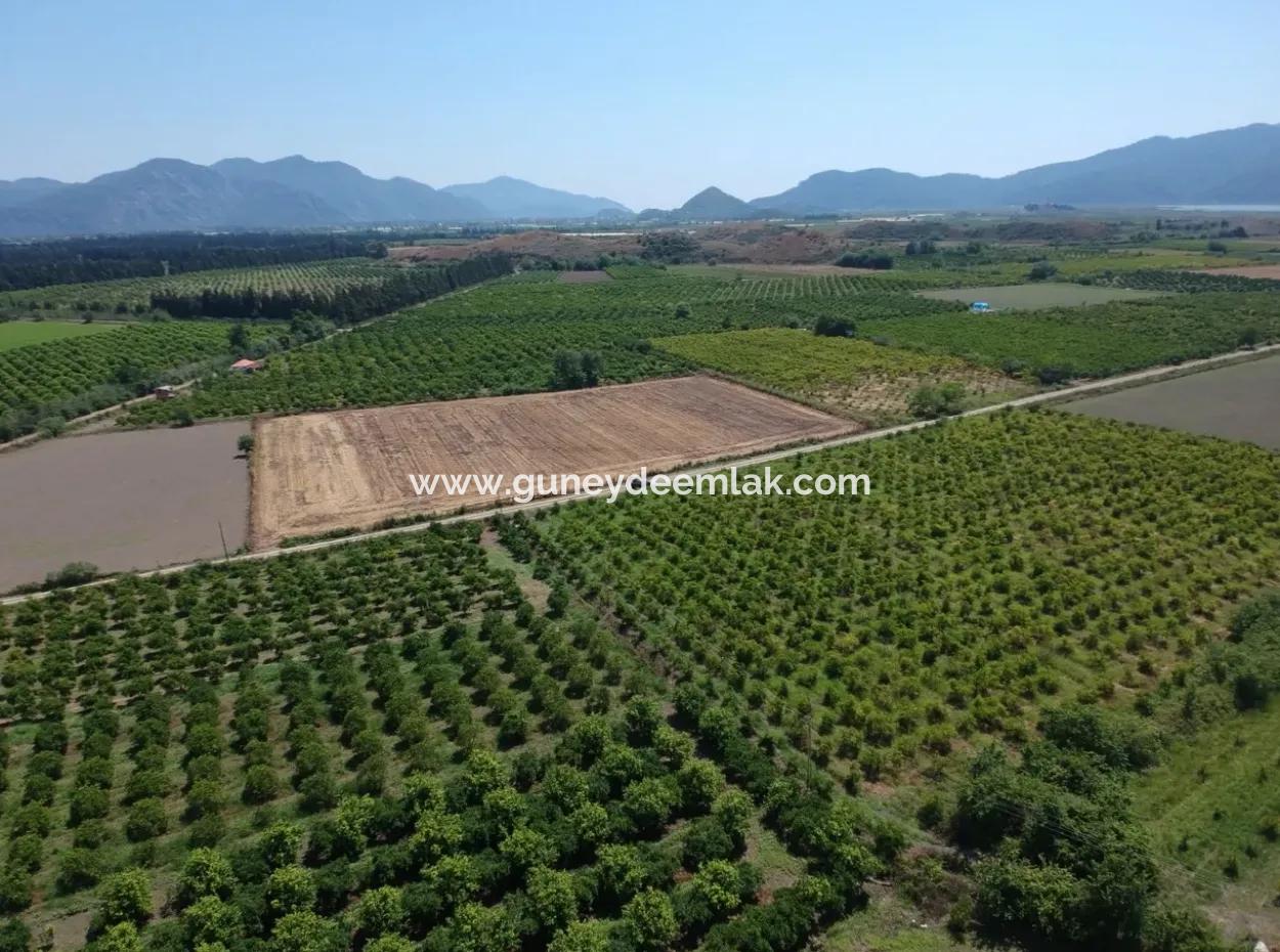 Ortaca Tepearası Nda 13 700 M2 Kelepir Arazi Satılık