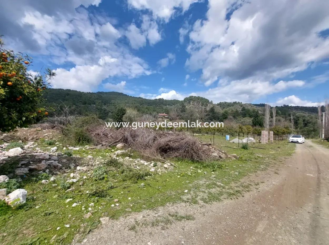 Muğla Köyceğiz Çandır Merkezde 1 000 M2 Arazi Satılık