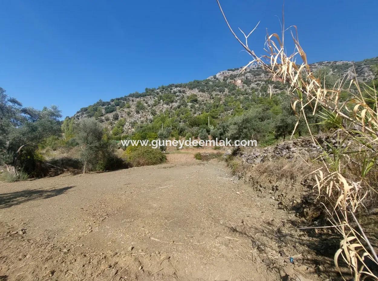 Ortaca Gökbel De Göle Yakın 400 M2 Arazi Devren Satılık