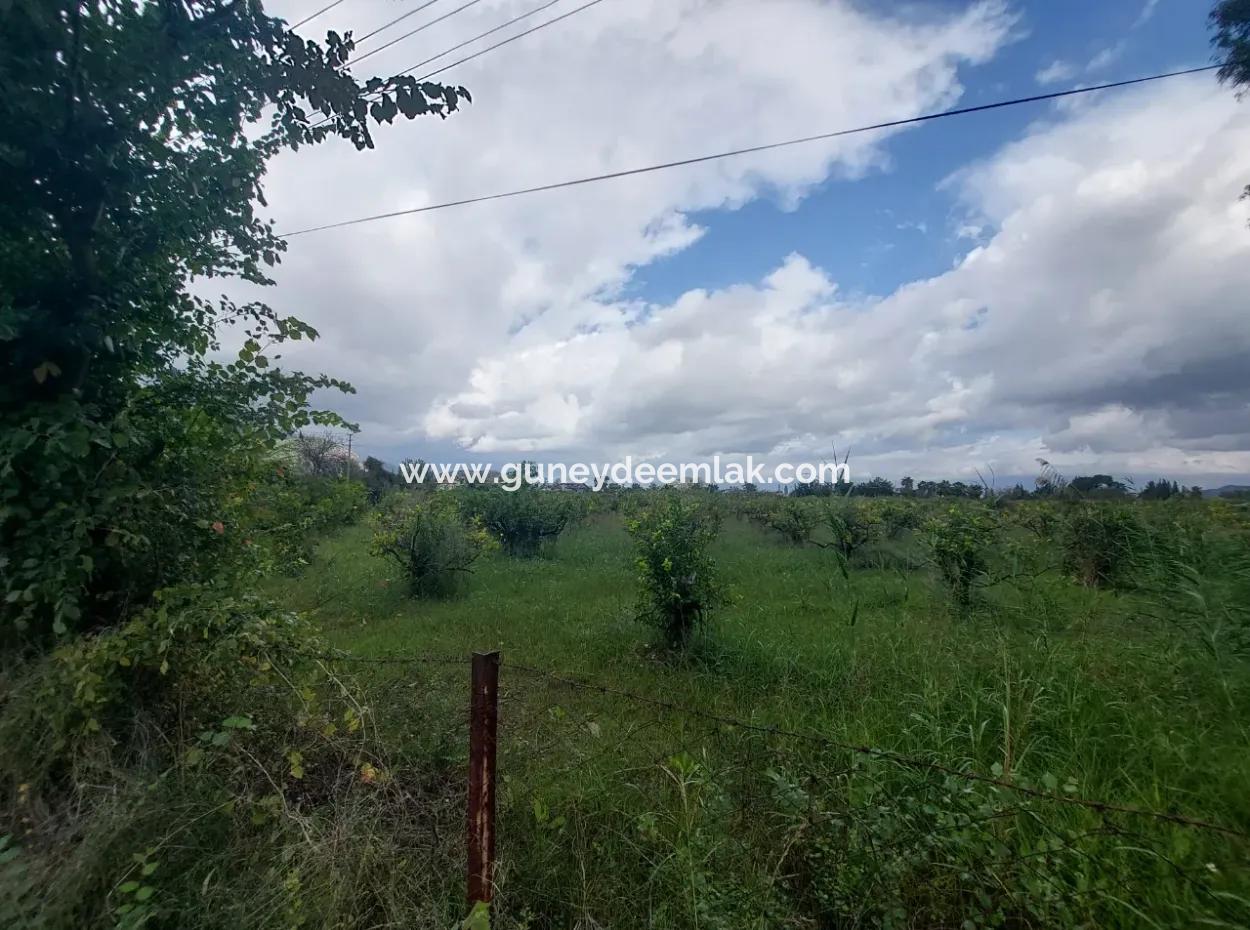 Mugla Dalyan Da 150 M2 İnşaat Hakkı Olan 5.000 M2 Arazi Satılık