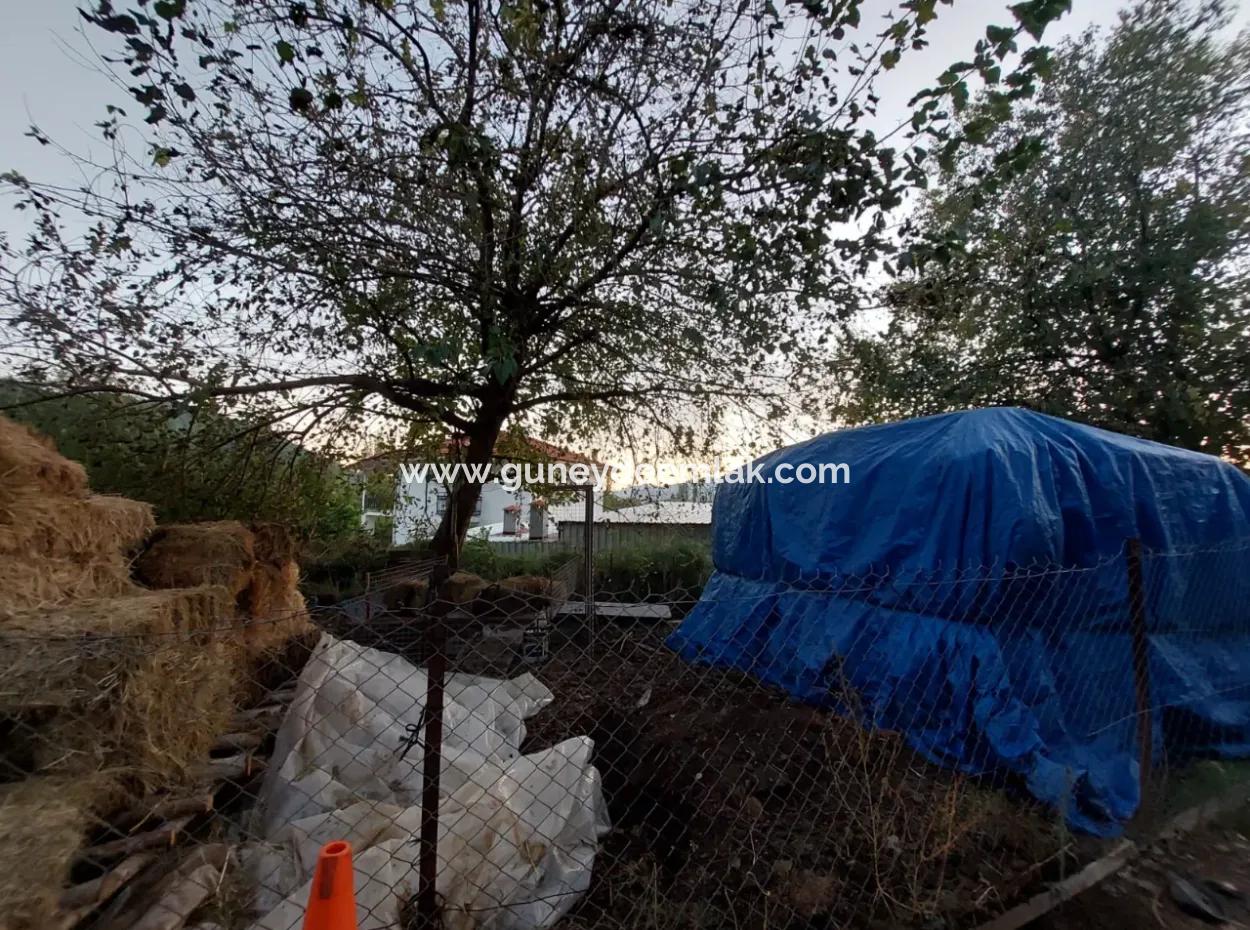 Ortaca Çaylı Da 350 M2 Müstakil Tiny House Uygun Arazi Satılık