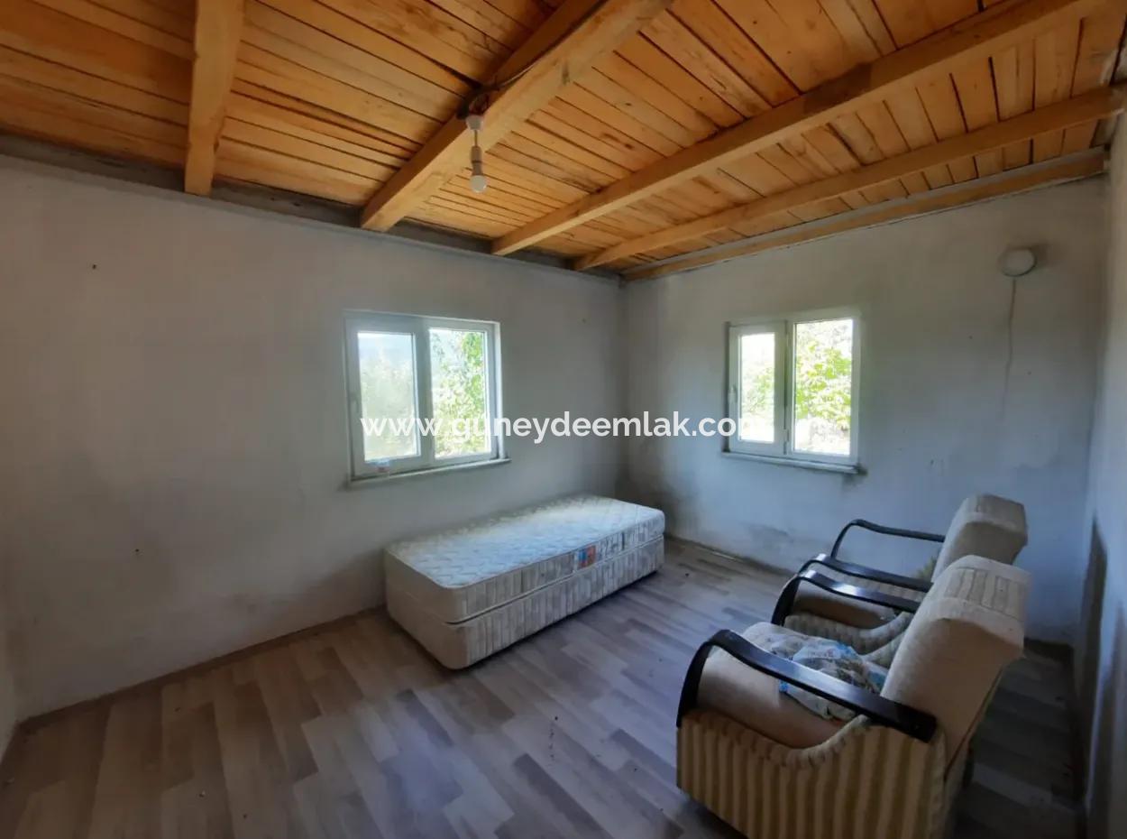 Çameli Kızılyakada 5 000 M2 Müstakil Arazide 2+1  Ev Ve  200 M2  Ahır Satılık